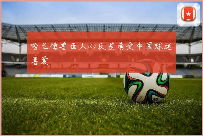 哈兰德兽面人心反差萌受中国球迷喜爱